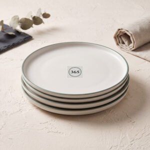 Stoneware Dinner Plates